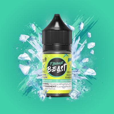 Flavour Beast Salts x Iced 30mL — Extreme Mint Iced