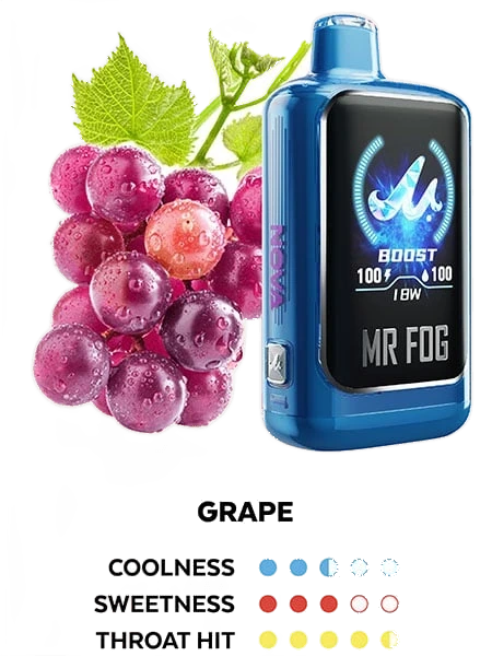 Mr. Fog Nova 30K — Blue Razz Steezy Grape