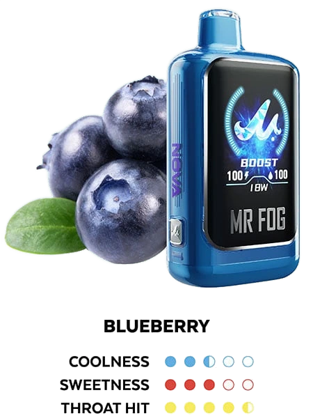 Mr. Fog Nova 30K — Blue Razz Steezy Blueberry