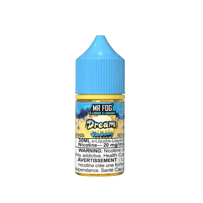 Mr. Fog Dream 30mL — Blueberry