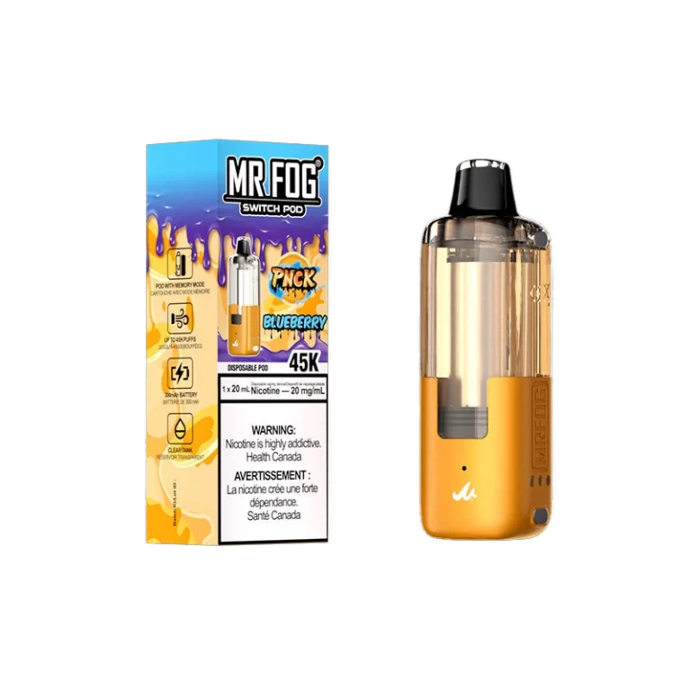 Mr. Fog Switch Pod — Pnck Blueberry