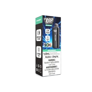 Flavour Burst Slide 90K Pod — Spearmint